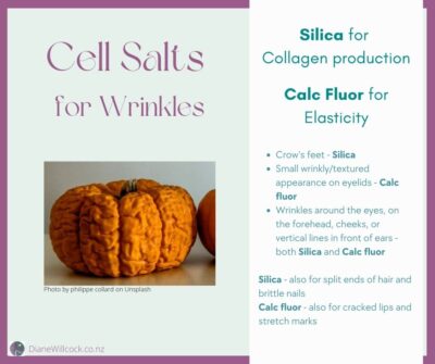 Cell salts for wrinkles